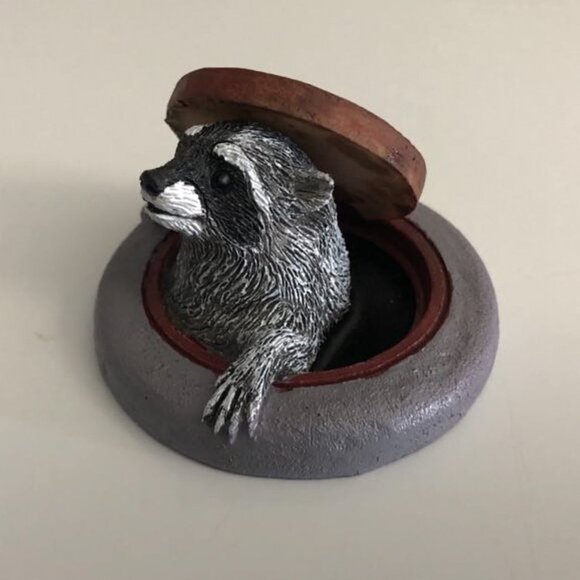Too Cute Miniature Racoon in Manhole - Picture 2 of 2